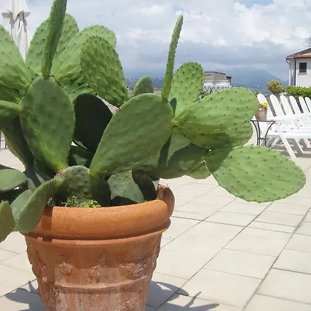 Garden Viareggio